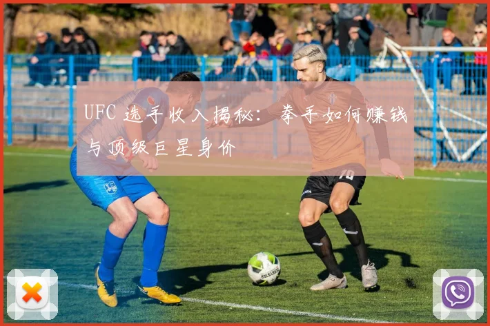 UFC 选手收入揭秘:拳手如何赚钱与顶级巨星身价