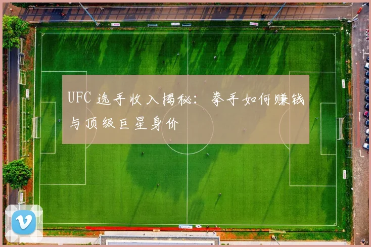 UFC 选手收入揭秘：拳手如何赚钱与顶级巨星身价