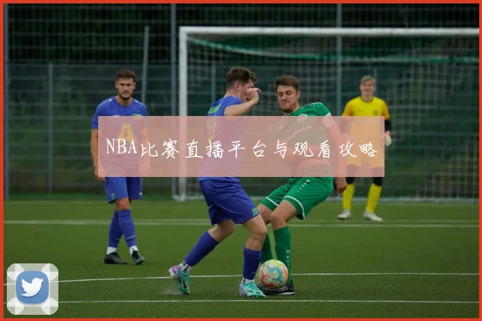 NBA比赛直播平台与观看攻略