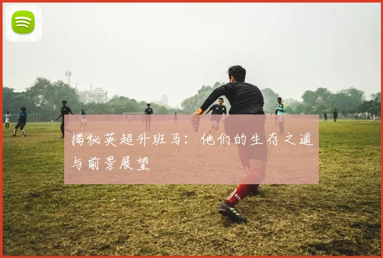 揭秘英超升班马:他们的生存之道与前景展望