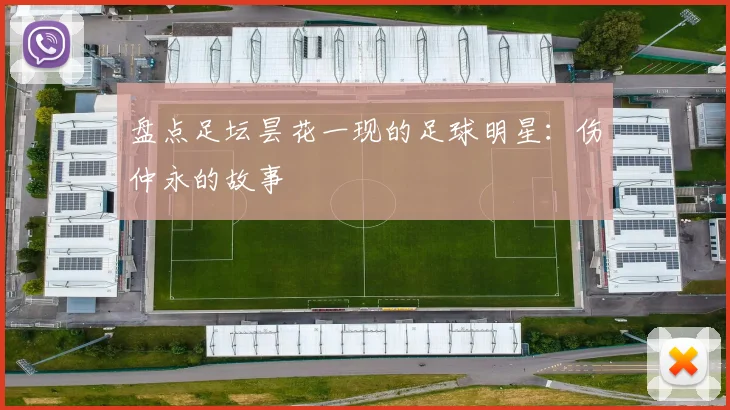 盘点足坛昙花一现的足球明星:伤仲永的故事