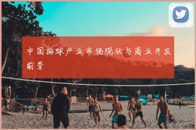 中国排球产业市场现状与商业开发前景