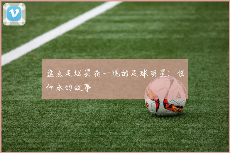 盘点足坛昙花一现的足球明星：伤仲永的故事