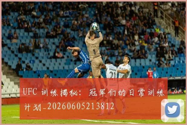 UFC 训练揭秘:冠军们的日常训练计划_20260605213812